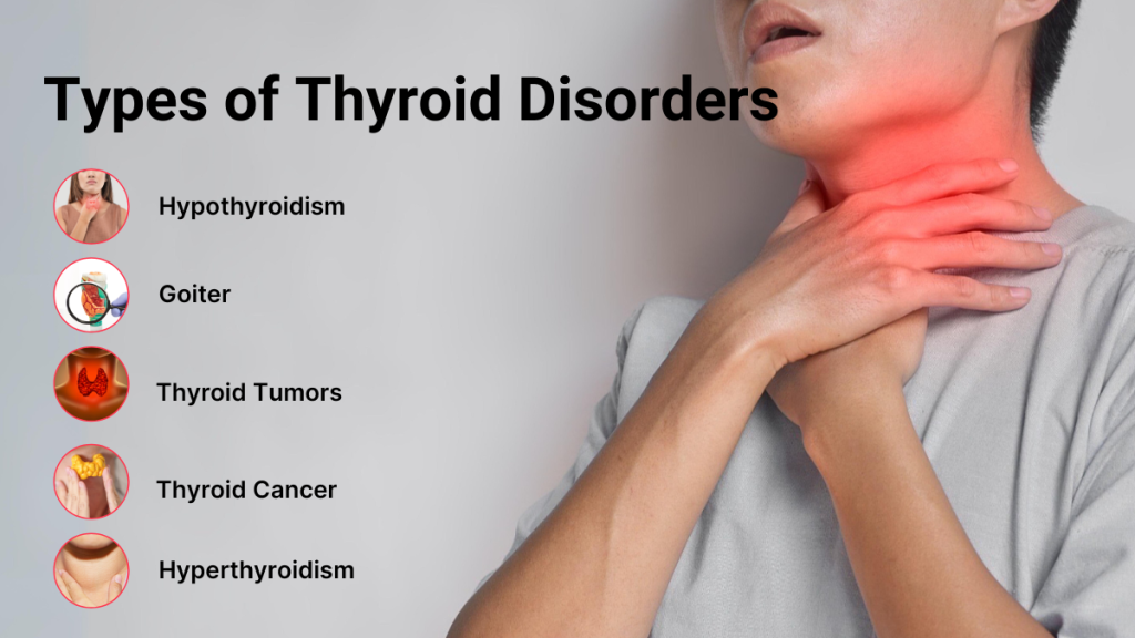 Common Thyroid Problems Raja Hospital