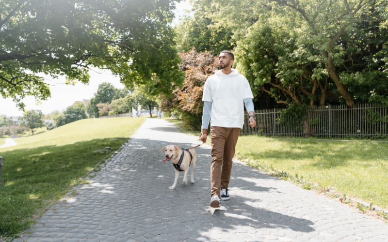 Blog Images 79 1