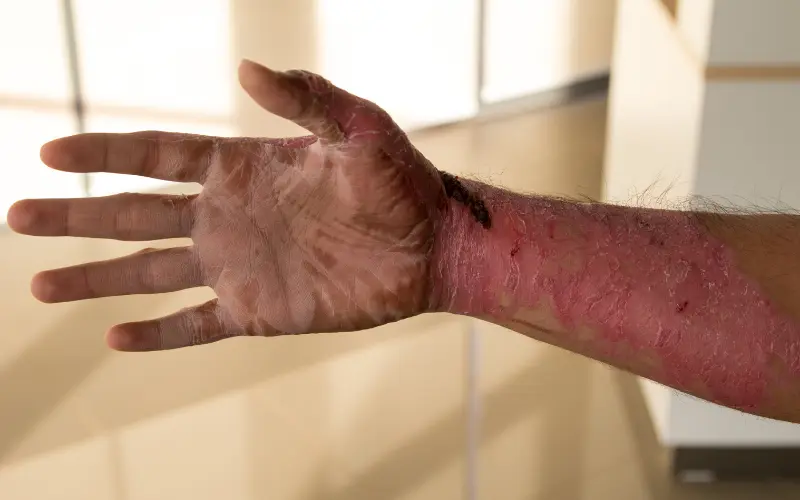 Blog Images 2025 11 12T214123.855 1